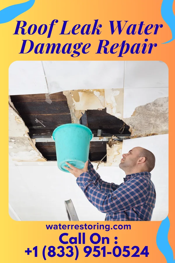 Roof Leak Water Damage Repair in Branch, AR