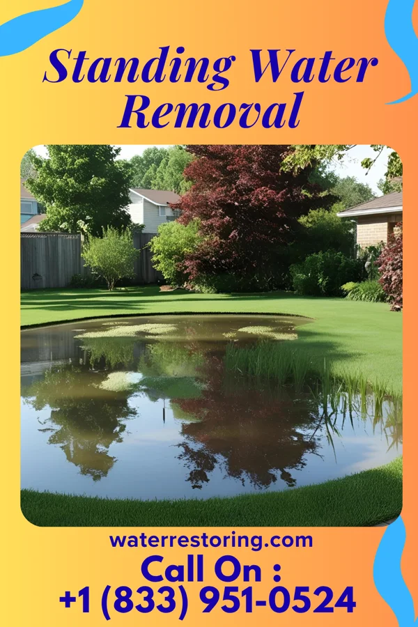 Standing Water Removal in Branch, AR